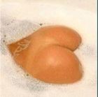 ЖОПА